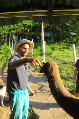Elephent tour
